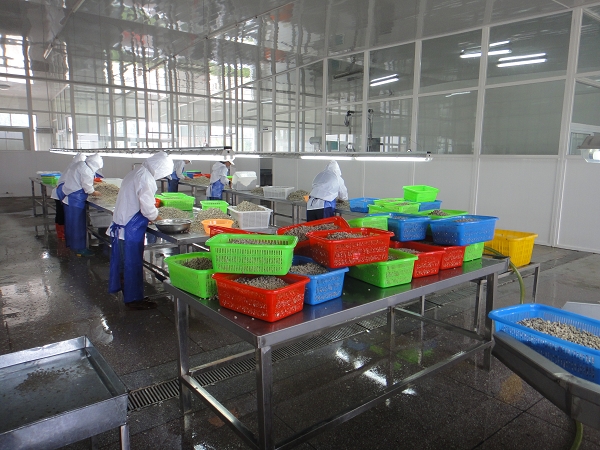 案例展示2